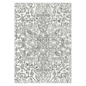 Alarie Modern Vintage Medallion Distressed Ornate Black Area Rug