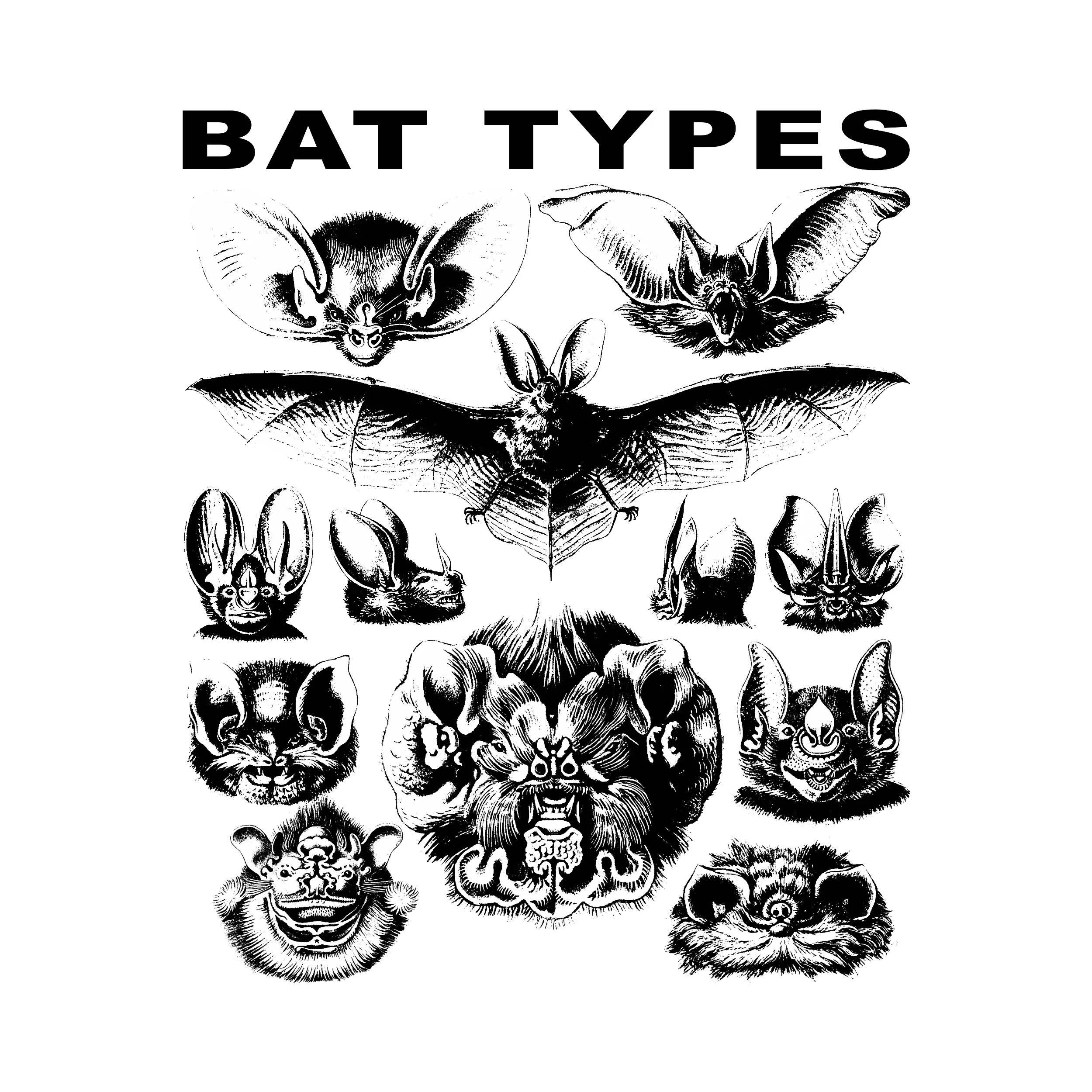 Bat Types Slim Fit Tee